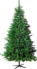 Christmas plants