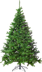 Christmas plants