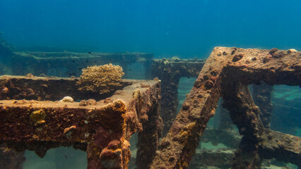artificial reef cube