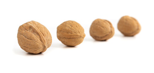 Walnuts in a raw. Close-up picture of dried fruits isolated on white backgroud.
