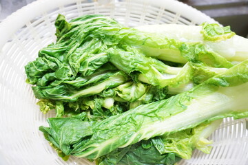 茹でたてで新鮮な白菜