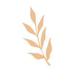 Bohemian Aesthetic leaf