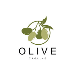 Olive Logo, Olive Oil Plant Vector, Natural Herbal Health Medicine Design, Illustration Template Icon