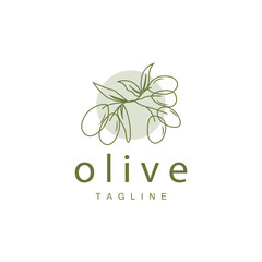 Olive Logo, Olive Oil Plant Vector, Natural Herbal Health Medicine Design, Illustration Template Icon