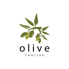 Olive Logo, Olive Oil Plant Vector, Natural Herbal Health Medicine Design, Illustration Template Icon