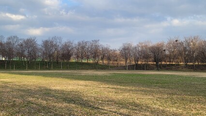 Fototapeta premium 잔디가 올라오기 시작한 야외 공원 경치