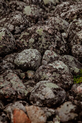 Stone texture of the rocks and moss on it