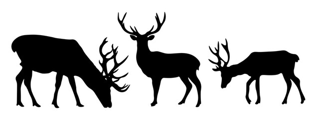 Forest wildlife hunting adventure nature animal vector symbol icon illustration set collection for logo - Black silhouette of wild deer / stag / hart animals, isolated on white background.