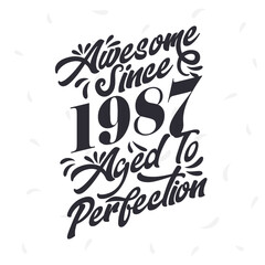 Born in 1987 Awesome Retro Vintage Birthday, Awesome since 1987 Aged to Perfection