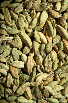 Kardamon ziarno ziarna kardamonu w powiększeniu tło, Cardamom seed cardamom seeds in a magnified background, seamless endless pattern