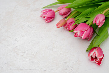 Pink tulips flowers on light gray concrete background. Valentine's, womens, mothers day, easter spring holiday flat lay. Top view. Copy space