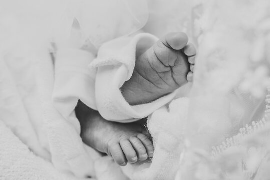 Baby feet. Tiny, cute, bare feet of a little newborn baby girl or boy wrapped in a soft, and cozy blanket. Cute sleeping newborn. Close up. Black and white photo.