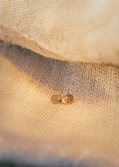 Fototapeta na wymiar close up of cannabis seeds. cannabis seeds on hemp fabric. fabric texture. on a fabric background