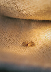 close up of cannabis seeds. cannabis seeds on hemp fabric. fabric texture. on a fabric background