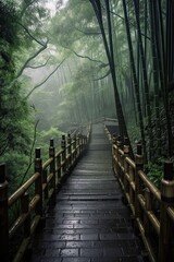 Scenery of Bamboo forest in spring surrounded by silence. Path to bamboo forest. Generative Ai.