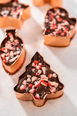Christmas cookie-cutter peppermint fudge
