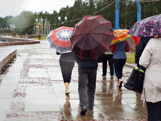 people with rain umbrellas in the city