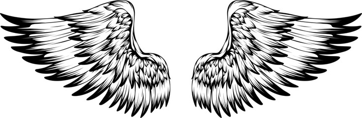 Bird wings illustration tattoo style. Hand drawn design element.