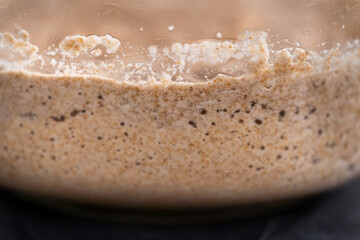 Wheat sourdough starter