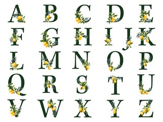 Alphabet with lemons and olive branches Mediterranean berries illustration in vector. Illustration of green leaves, flowers, buds and branches.