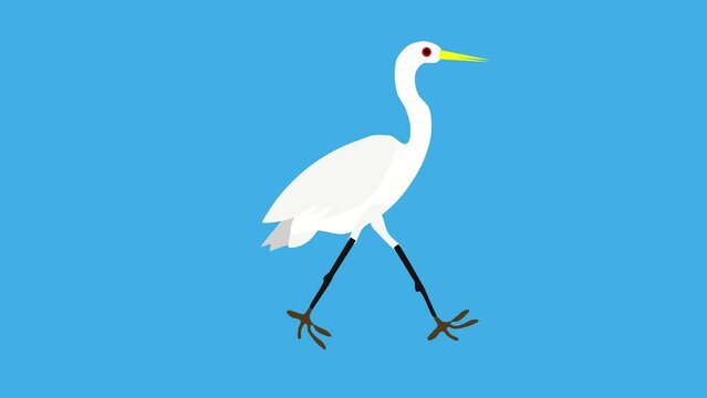White heron walk cycle animation