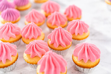 Mini Vanilla Cupcakes with Pink Buttercream Frosting
