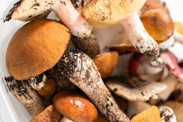 Wild mushrooms