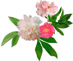 stylized textured bouquet of realistic peonies