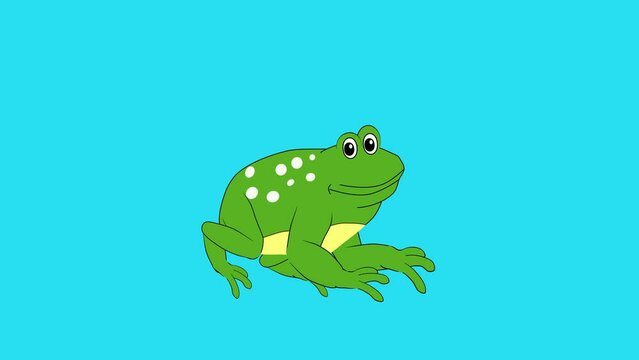 Cartoon funny frogg animation