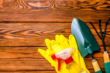 Garden tools on the background of a brown wooden table.
