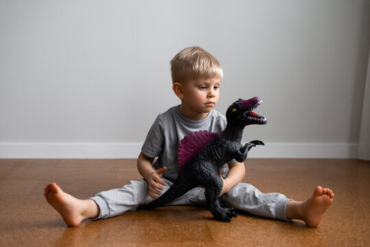 portrait of boy playing big dinosaur toy sitting on floor