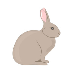 Cute easter rabbit illustration vector isolated on white flat design easter element