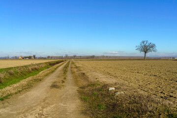 Rural landscape at winter in Pavia province