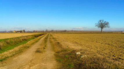 Fototapeta na wymiar Rural landscape at winter in Pavia province