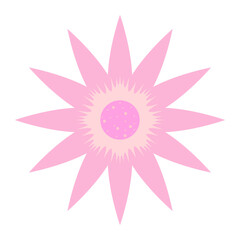 Pink flowers with twelve petals.