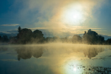 Obraz na płótnie Canvas Ethereal Fog Envelops Hart Park Lake During Bakersfield's Golden Hour