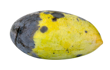 Rotten mango fruit isolated