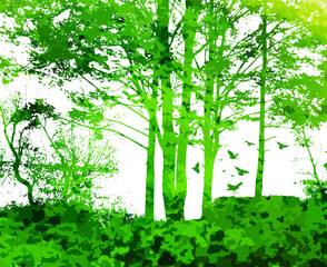 Fototapeta na wymiar Silhouette green trees in the forest. Vector illustration