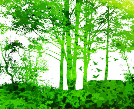 Silhouette green trees in the forest. Vector illustration