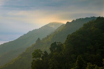 tropical forest kerinci jambi indonesia
