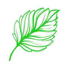 green leaf art vector design