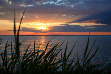 Fototapeta na wymiar beautiful sunset over the sea, background, seascape