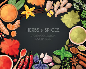 Vector card with high detailed spices and herbs