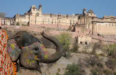 Elefante y vista del fuerte Amber en las afueras de Jaipur, en Rajastán, India © s-aznar