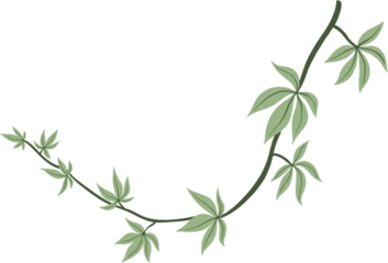 Simplicity ivy freehand drawing