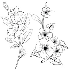Free Vector line art and hand drawing flower art black and white flat design simple flower