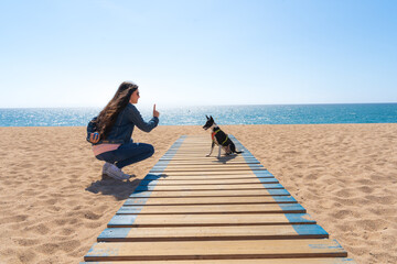 Dog trainer training a dog on the beach.