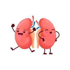 Cartoon kidneys body organs characters. Vector human reins anatomical positive personage with cute smiling face. Funny medical education of urinary system, anatomy science for kids, renal health care