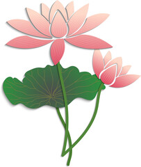 Chinese traditional paper cutting relief of pink elegant lotus flower and green leaf