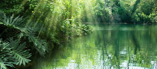 idyllic lake in rainforest, beautiful natural wallpaper background for spa, travel and environment...